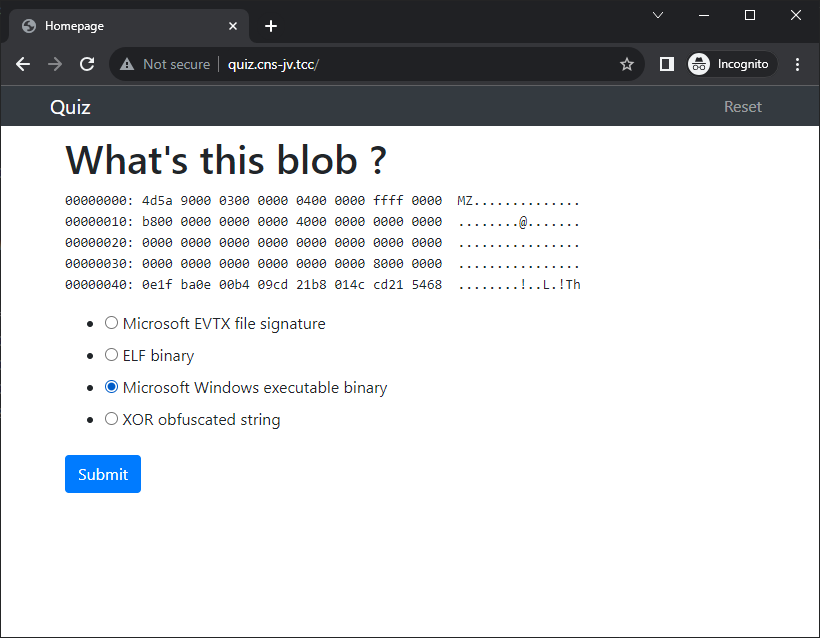 Microsoft Windows executable binary
