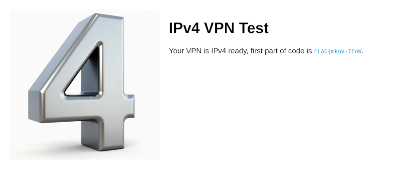 IPv4 flag